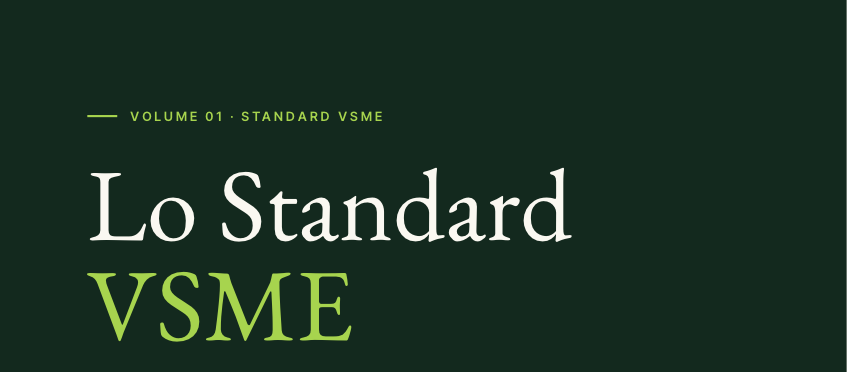 Copertina Guida VSME
